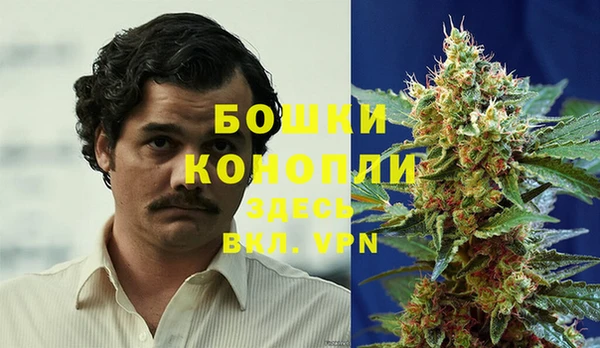 PSILOCYBIN Покровск