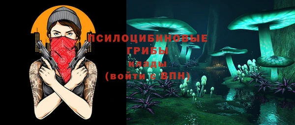 кокс Алексин